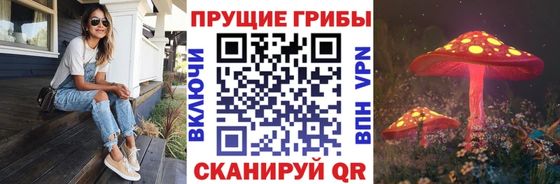 цены   Дедовск  Галлюциногенные грибы MAGIC MUSHROOMS 